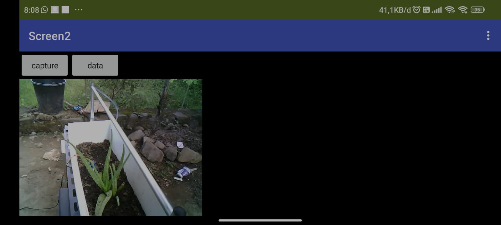 Actual ESP32-CAM plant image under daylight